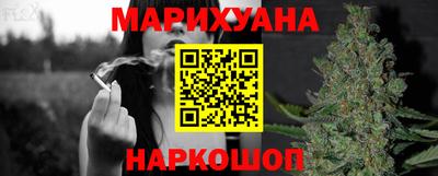 jwh Бийск