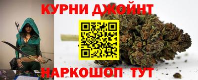 jwh Бийск