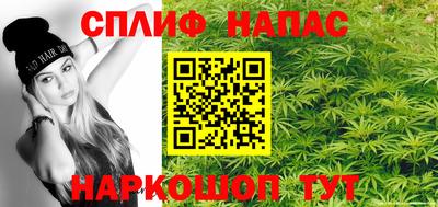 jwh Бийск