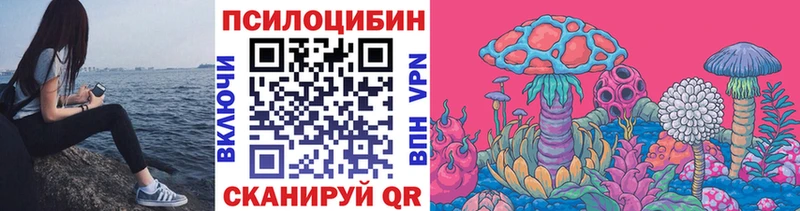 Галлюциногенные грибы ЛСД Гудермес