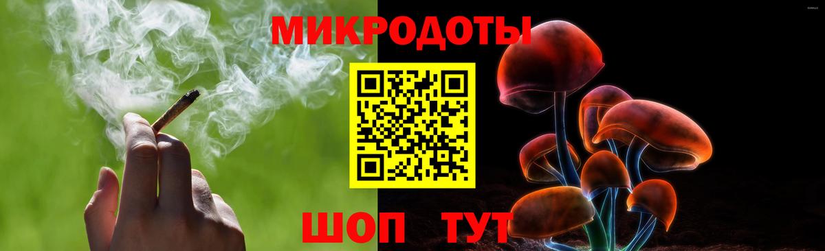 Псилоцибиновые грибы Cubensis Гудермес